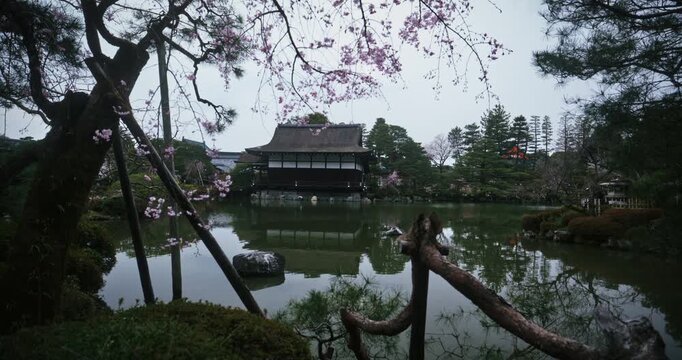 Wide shot of beautiful pond, ancient Japanese structure and cherry blossom trees