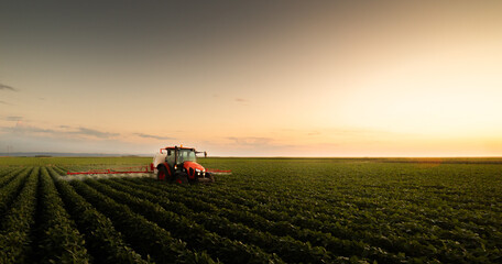 Fototapeta premium Modern agriculture tractor spraying crops in soybean field