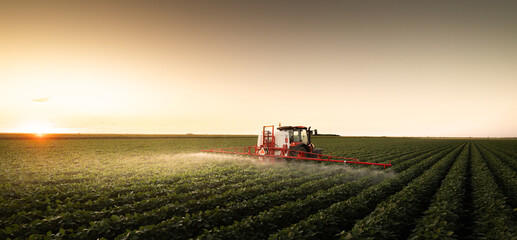 Fototapeta premium Agricultural machinery sprays crops with pesticide.
