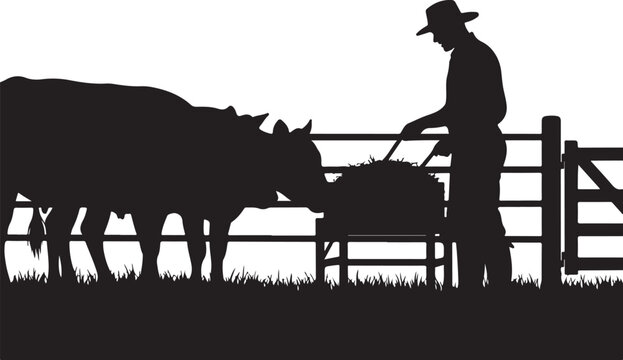 Black silhouette of man feeding hay to cows by fence cattle