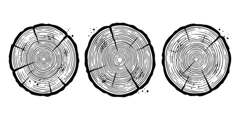 Three round tree trunk cross sections with detailed growth rings in a hand drawn sketch style © md