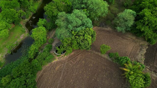 Overhead View of Agricultural Land with Mango Tree