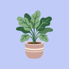 Obraz premium A simple green houseplant sits inside a decorative ceramic pot