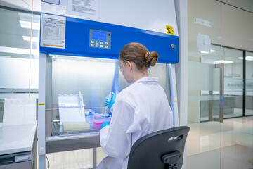 Scientist working in a biosafety cabinet with pipettes and test tubes © FotoArtist