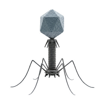 Bacteriophage T2 Virus Transparent Background