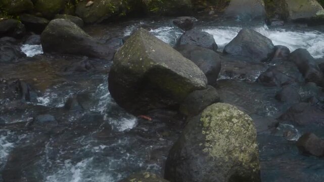 Mountain stream flows rapidly around large rocks covered in moss within a lush tropical forest on the island of Java, Indonesia, demonstrating natural power and serene beauty