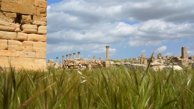 Ancient Roman Ruins of Madaurus Archaeological Site in Souk Ahras Algeria