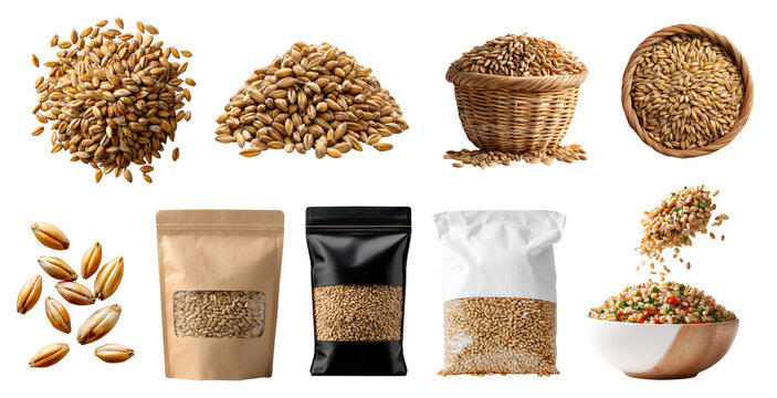 Set of Hulled barley whole grain groats kernel bran, resealable standup pouch bag, rattan basket, fly pile stack cooked raw, transparent cutout PNG mockup for design