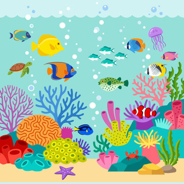 A vibrant illustration of a colorful coral reef underwater scene