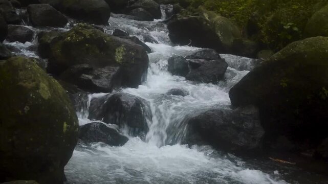 Clear mountain stream flowing rapidly between dark rocks in a forest on Java island, showcasing a pristine natural environment and the power of freshwater ecosystems