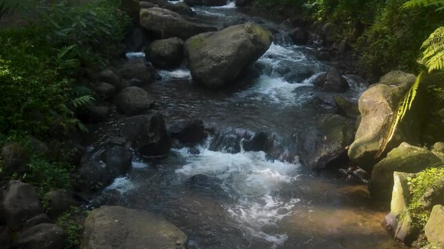 Clear water cascades over rocks and stones within a lush, tropical stream, showcasing the natural beauty of Java's mountainous region and serene wilderness