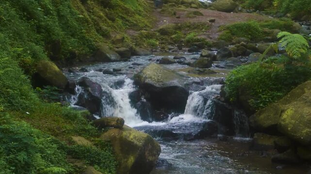Lush rainforest stream on Java island with cascading water