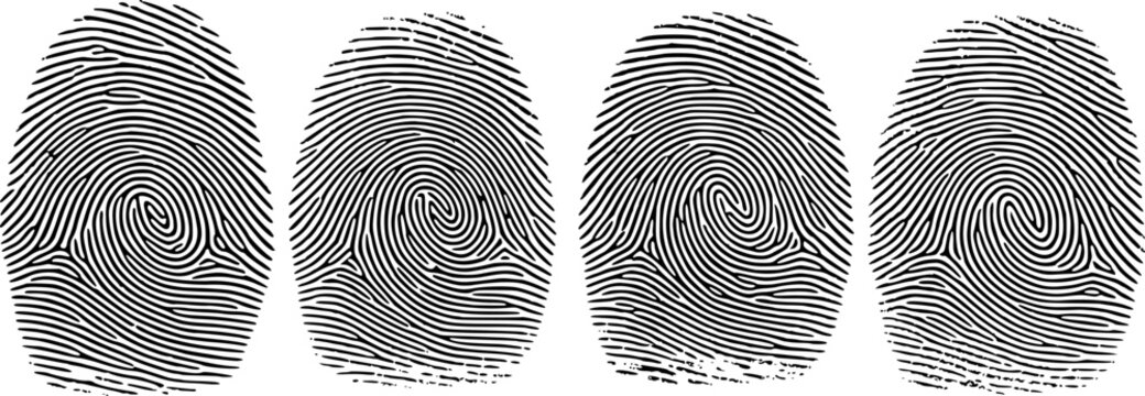 Black fingerprints with swirl patterns white background, identity concept security