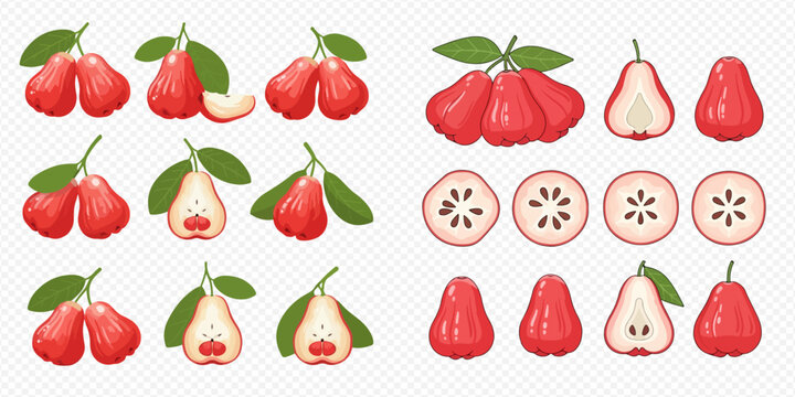 Set of fresh rose apple fruit with leaves, whole and sliced, on a transparent background.