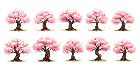 Set of ten beautiful blooming pink cherry blossom trees with dark trunks © Sharmin