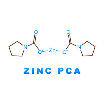 Zinc PCA molecular structure. vector illustration