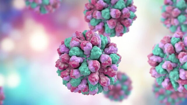 Norovirus particles, 3D animation showing slowly rotating non-enveloped virions with icosahedral capsid, illustrating highly contagious cause of acute gastroenteritis.