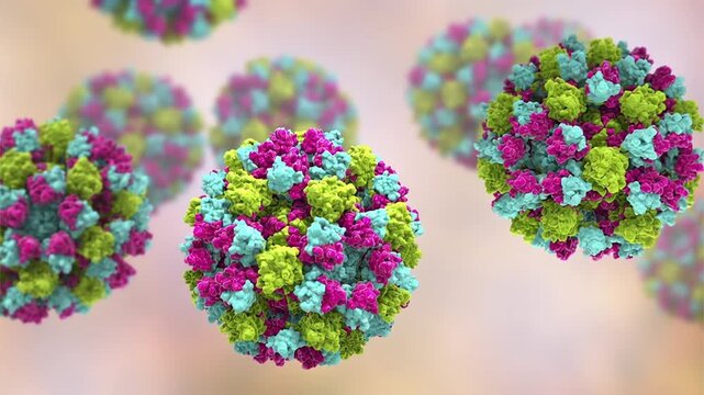 Norovirus particles, 3D animation showing slowly rotating non-enveloped virions with icosahedral capsid, illustrating highly contagious cause of acute gastroenteritis.