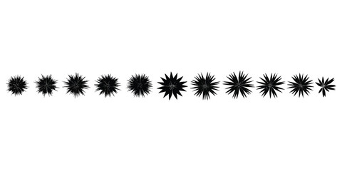 Set of black starburst and sunburst design elements with sharp rays © Sharmin
