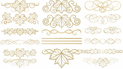 set of decorative leaf patterns on white background pattern ornament scroll vine floral design gold vector illustration graphic element divider border © Nipa