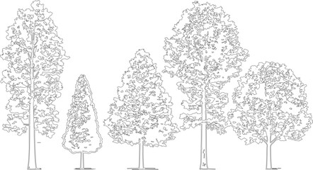 Five different types of trees illustration © Mahir07
