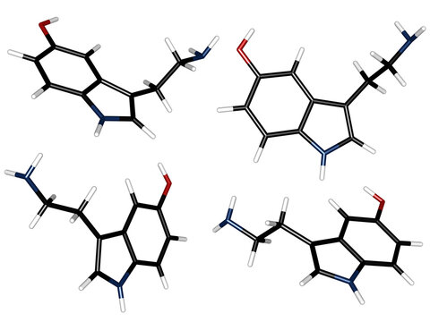Detailed 3D Molecular Structure Model of Serotonin Neurotransmitter 5-HT C10H12N2O Chemical Formula Stick Rendering for Science Education Happiness Hormone Brain Chemistry and Mood Regulation Concepts