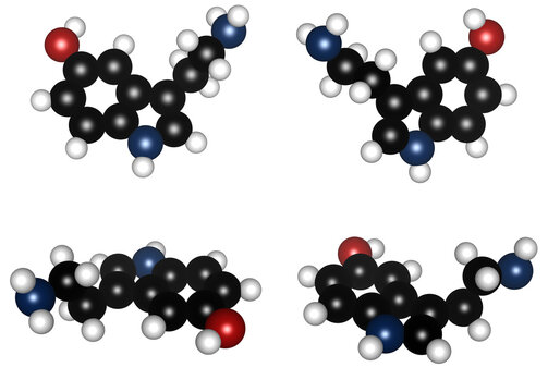 Serotonin Molecule 3D Models Set, Chemical Structure of 5-Hydroxytryptamine C10H12N2O Neurotransmitter for Mood Regulation and Happiness, Ball Molecular Rendering for Science Education, 5-HT, Atoms