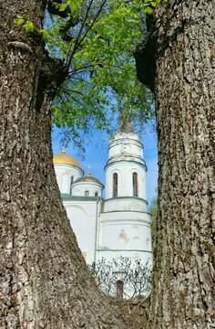 Savior-Transfiguration Cathedral in Chernihiv, Ukraine, viewed through a natural frame of ancient tree trunks with fresh green spring leaves. 