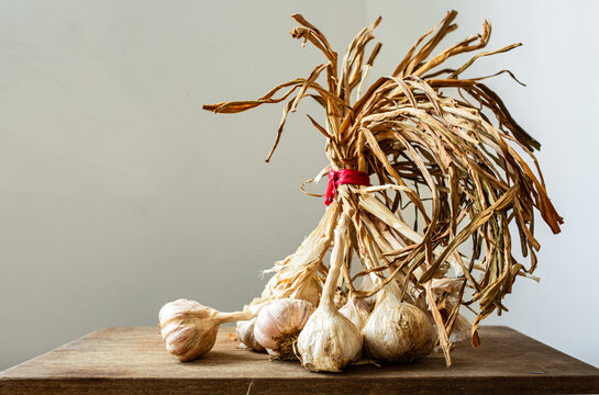 Dried garlic bunch with roots on rustic wooden board against white background