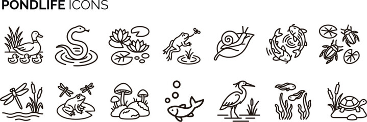 Collection of pond life outline icons featuring duck, snake, water lily, frog, snail, fish, turtle, dragonfly, heron and other freshwater ecosystem elements. Clean editable line icon set for nature © Ina