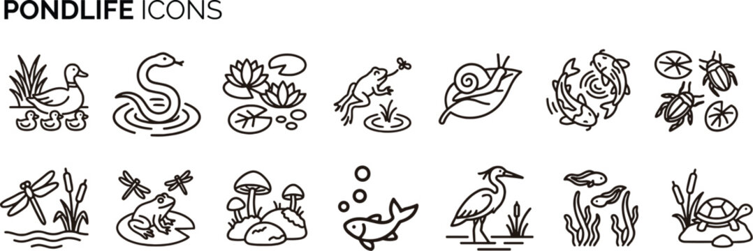 Collection of pond life outline icons featuring duck, snake, water lily, frog, snail, fish, turtle, dragonfly, heron and other freshwater ecosystem elements. Clean editable line icon set for nature