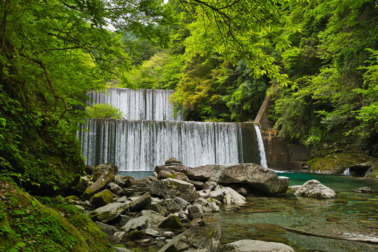 高知県安居渓谷の滝