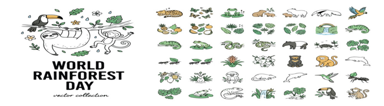 World Rainforest Day vector collection, hand drawn jungle animals and tropical plants, exotic wildlife icons for environmental conservation