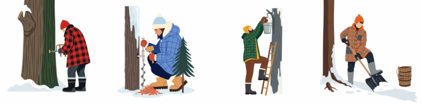 Set of illustrations depicting people harvesting maple sap in winter including tapping trees, hanging buckets, and shoveling snow for syrup production.