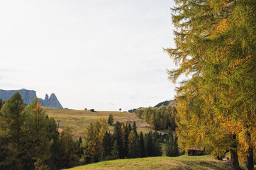Obraz premium autumnal alpine landscape inside the Dolomites, Italy