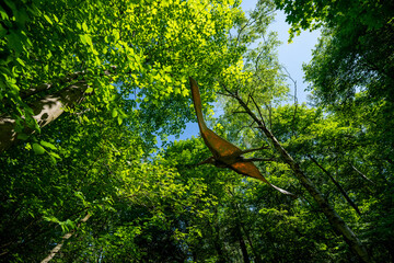 Flying Pteranodon pterosaur under the tree canopy. © lapis2380