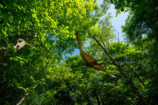 Flying Pteranodon pterosaur under the tree canopy.