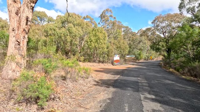 Winding Asphalt Road Through Eucalyptus Bushland in Stanthorpe Queensland Australia