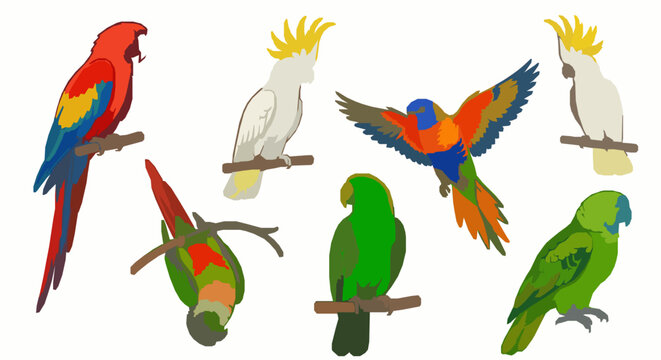 Colorful Tropical Parrot Vector Set with Exotic Bird Collection