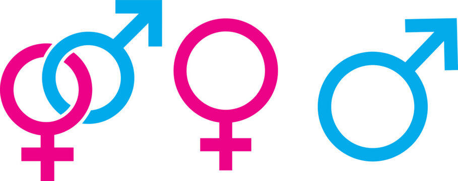 Gender symbols illustration male and female icons representing sex and identity concepts
