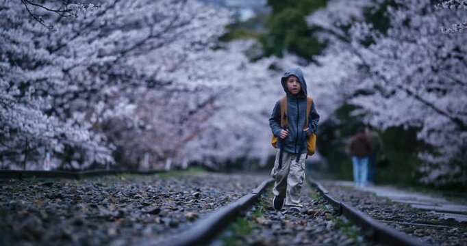 Little boy with hoodie and backpack walking on old tracks with surrounding cherry blossom trees