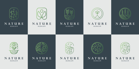 Fototapeta premium set line tree logo design line environmentally friendly people. premium logo Drop and leaf vector logo with linear.