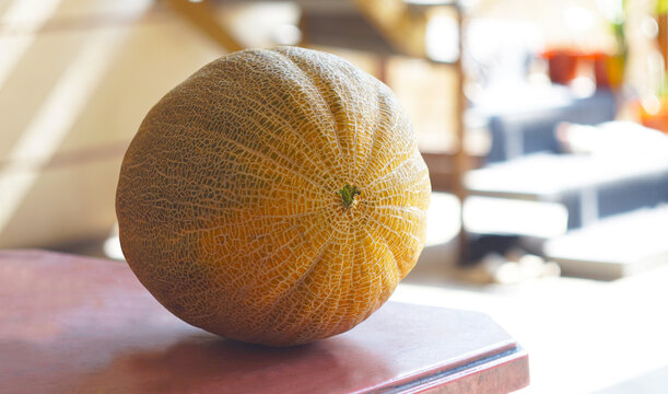 Whole ripe cantaloupe melon in bright natural light indoors.