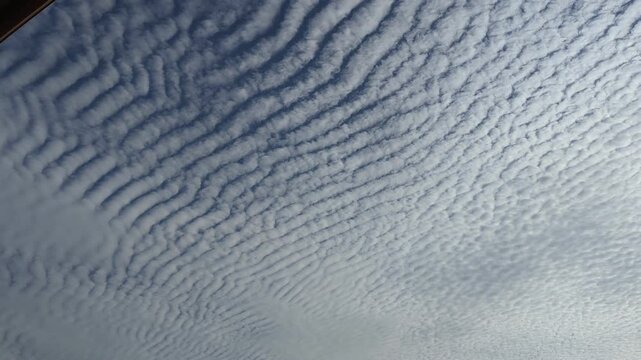 Cirrocumulus or altocumulus clouds or "mackerel sky" seen in Trinidad and Tobago. It occurs where high-altitude cirrocumulus or altocumulus clouds form rows of white, rippled patches like fish scales.