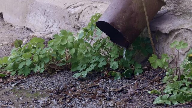 Water dripping from rusty old downspout