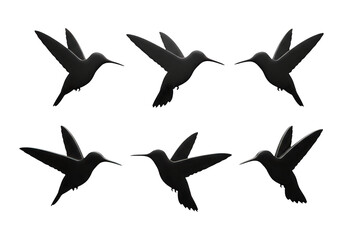 Fototapeta premium Black bird vector icon set