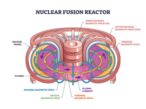 Nuclear fusion reactor structure and physics work principle outline diagram, transparent background. Labeled educational energy and power from magnetic field coil.