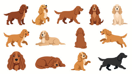 Fototapeta premium English Cocker Spaniel Dog Vector Illustration Set with Various Poses and Colors for Pet Lovers