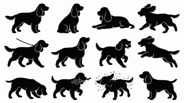 Cocker Spaniel Silhouette Set Vector Graphics for Pet Design and Breeding Logos