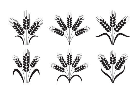 Set of six black and white feather with detailed quill textures, isolated on transparent background, feather quill textures